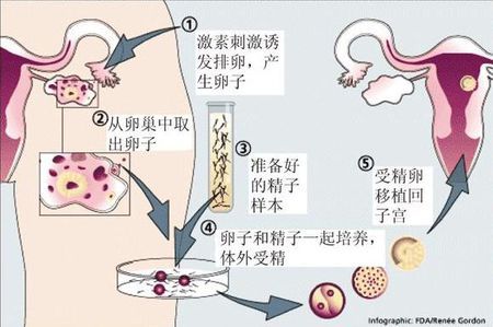 陈主任
